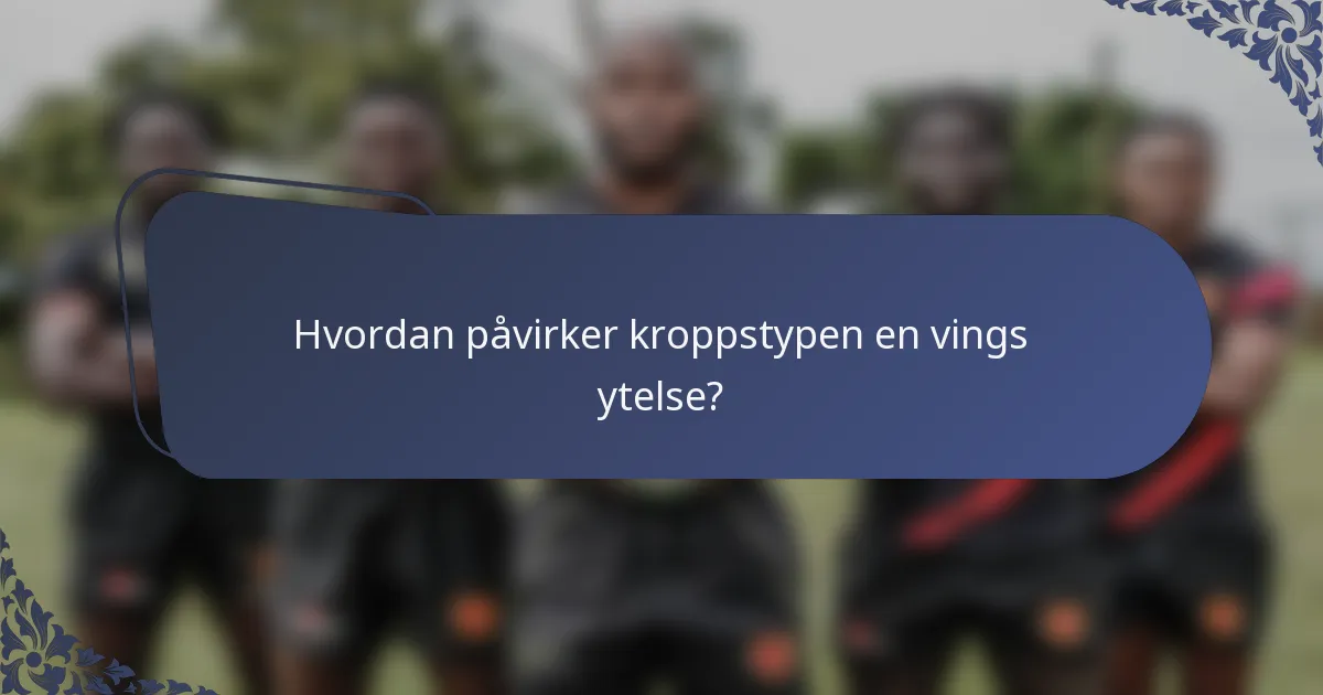 Hvordan påvirker kroppstypen en vings ytelse?